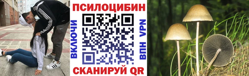 kraken ссылки  Губаха  нарко площадка клад  хочу наркоту  Галлюциногенные грибы ЛСД 